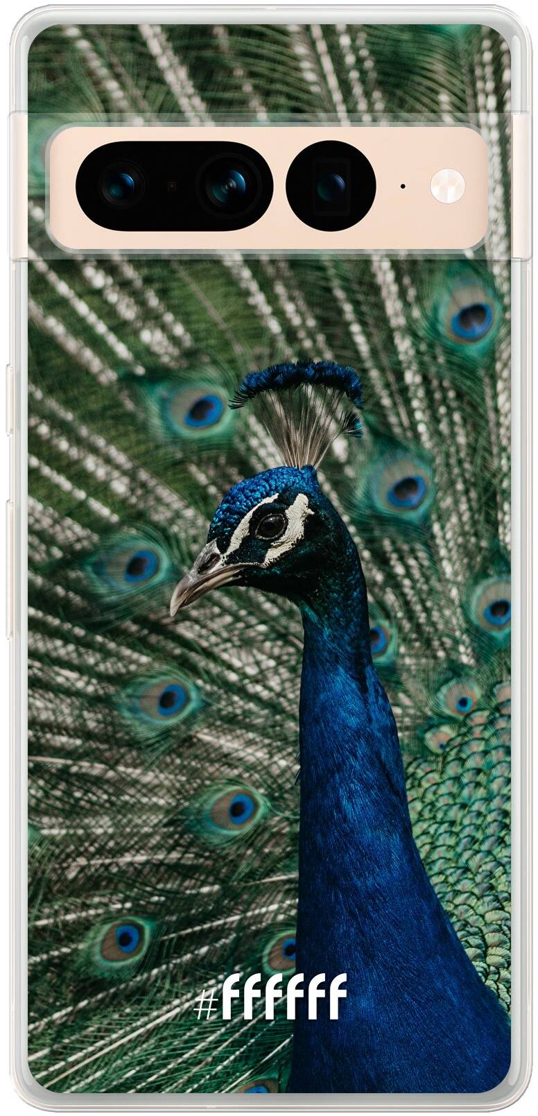 Peacock Pixel 7 Pro