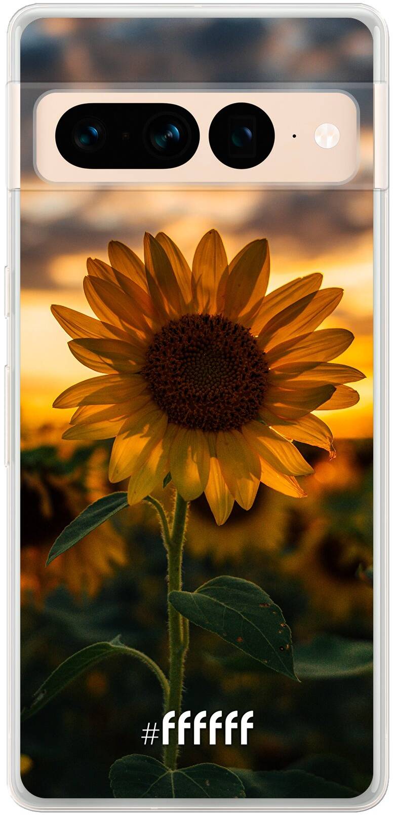 Sunset Sunflower Pixel 7 Pro