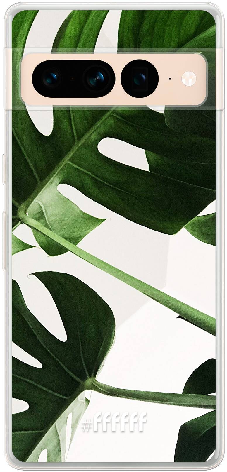 Tropical Plants Pixel 7 Pro
