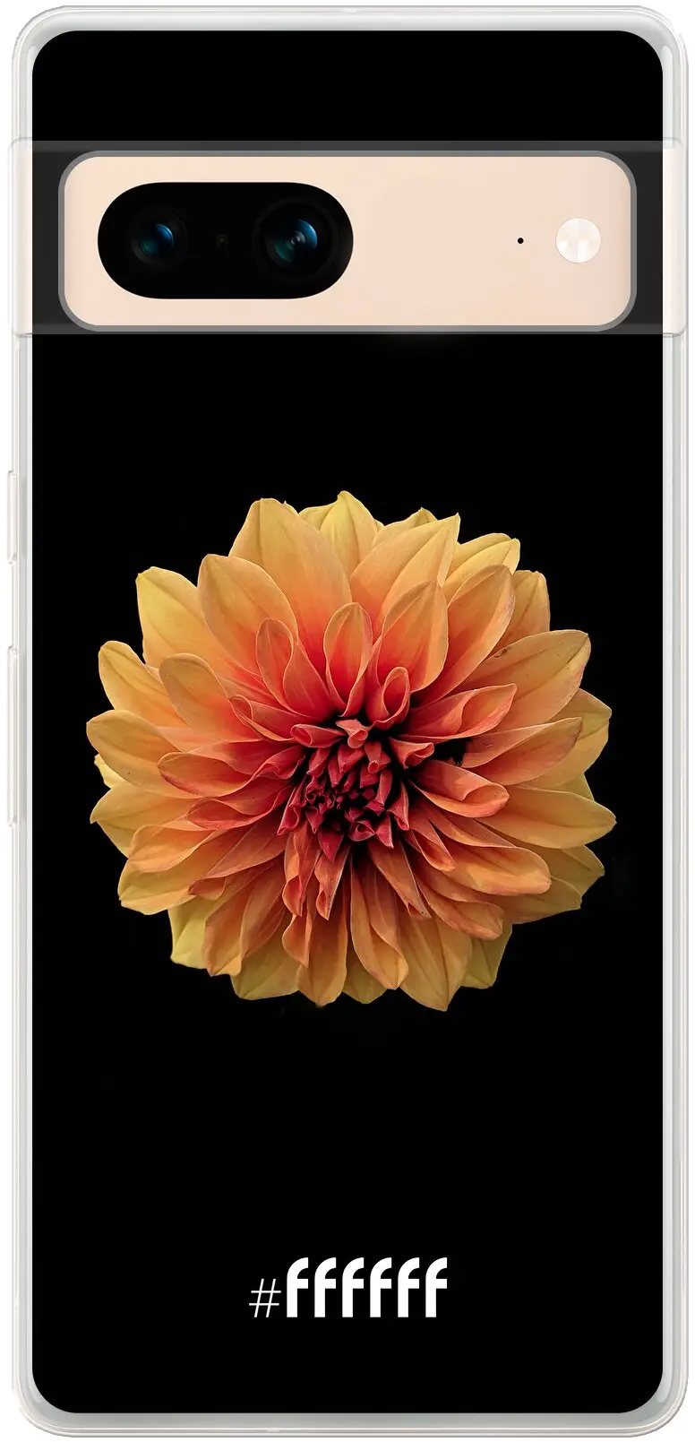 Butterscotch Blossom Pixel 7