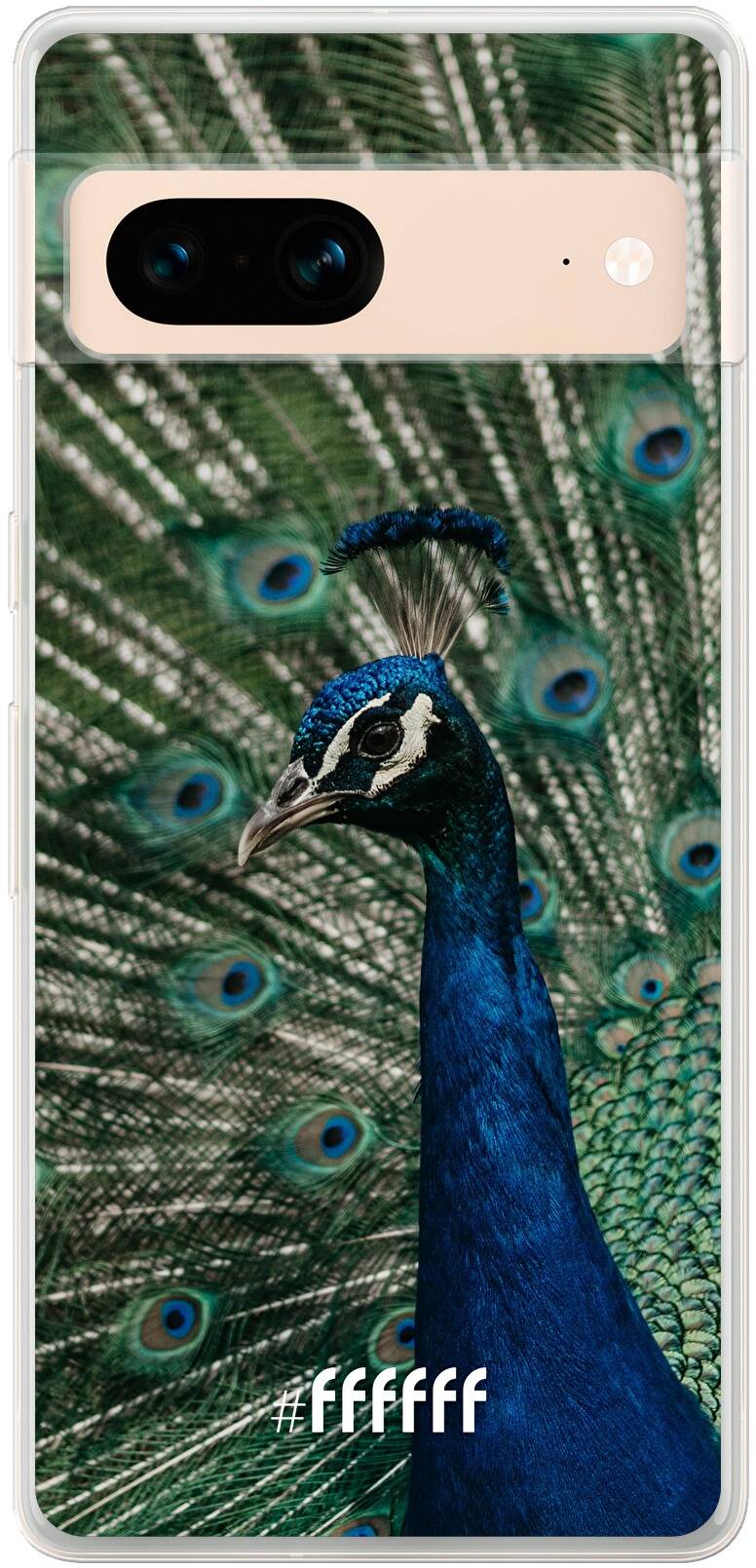 Peacock Pixel 7