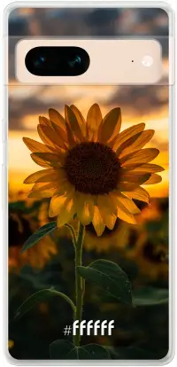 Sunset Sunflower Pixel 7