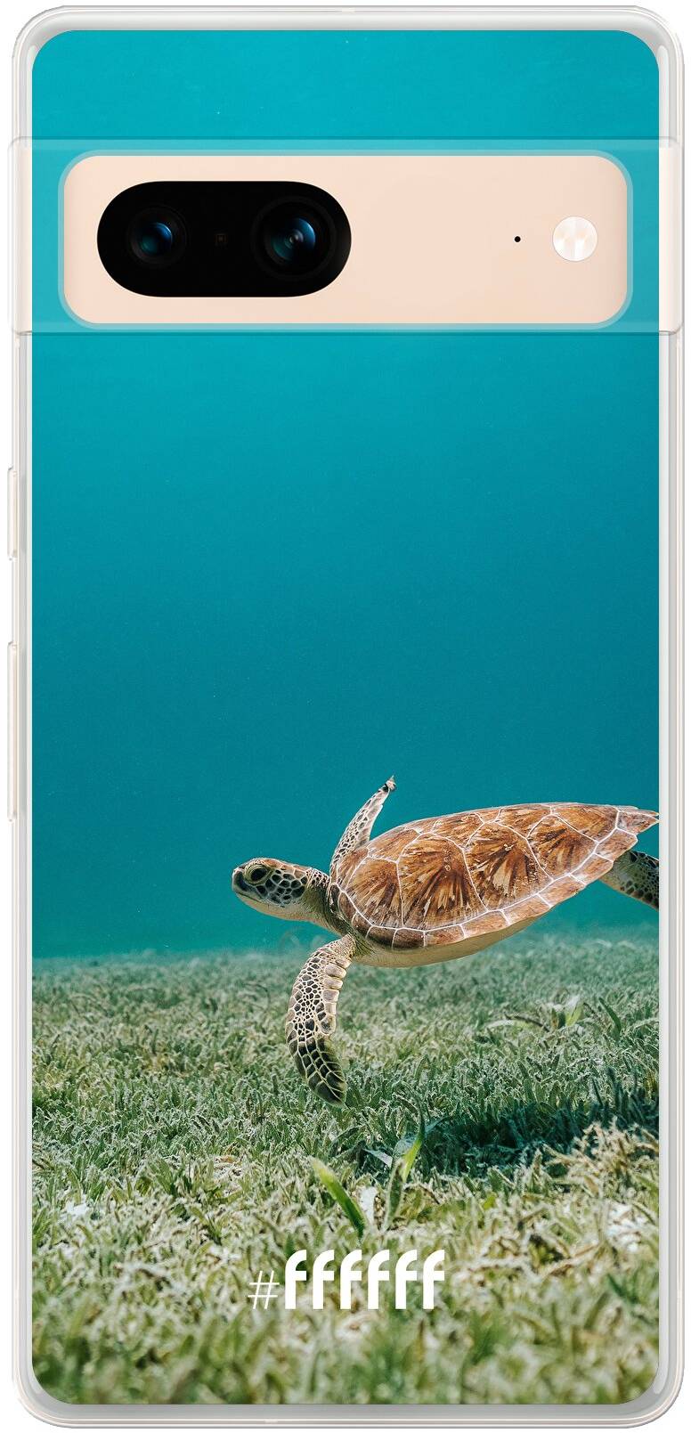 Turtle Pixel 7