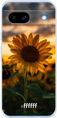 Sunset Sunflower Pixel 8a