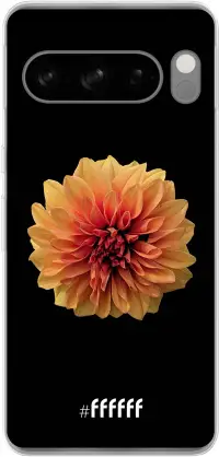 Butterscotch Blossom Pixel 8 Pro