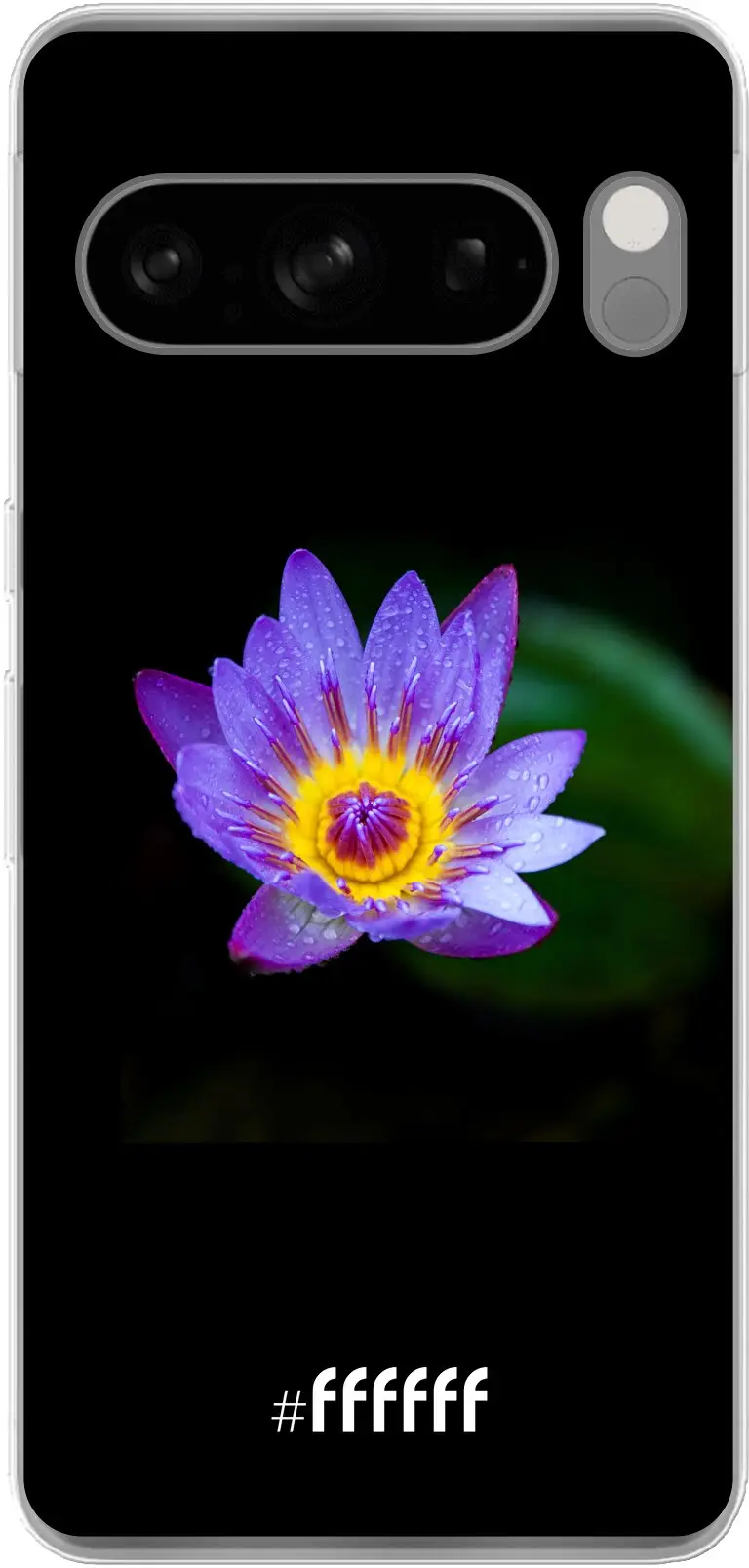 Purple Flower in the Dark Pixel 8 Pro