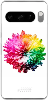 Rainbow Pompon Pixel 8 Pro