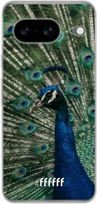 Peacock Pixel 8