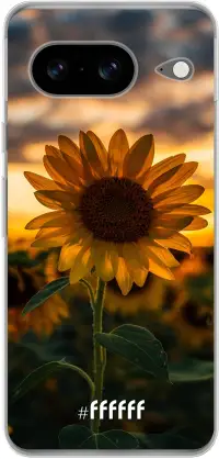 Sunset Sunflower Pixel 8