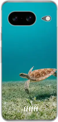 Turtle Pixel 8