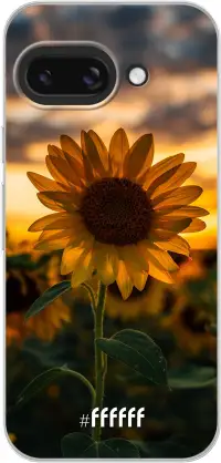 Sunset Sunflower Pixel 9A