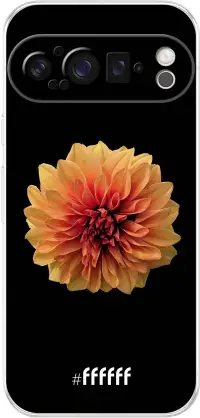 Butterscotch Blossom Pixel 9 Pro