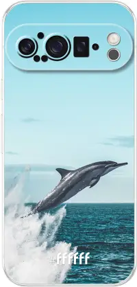 Dolphin Pixel 9 Pro