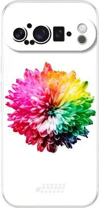 Rainbow Pompon Pixel 9 Pro