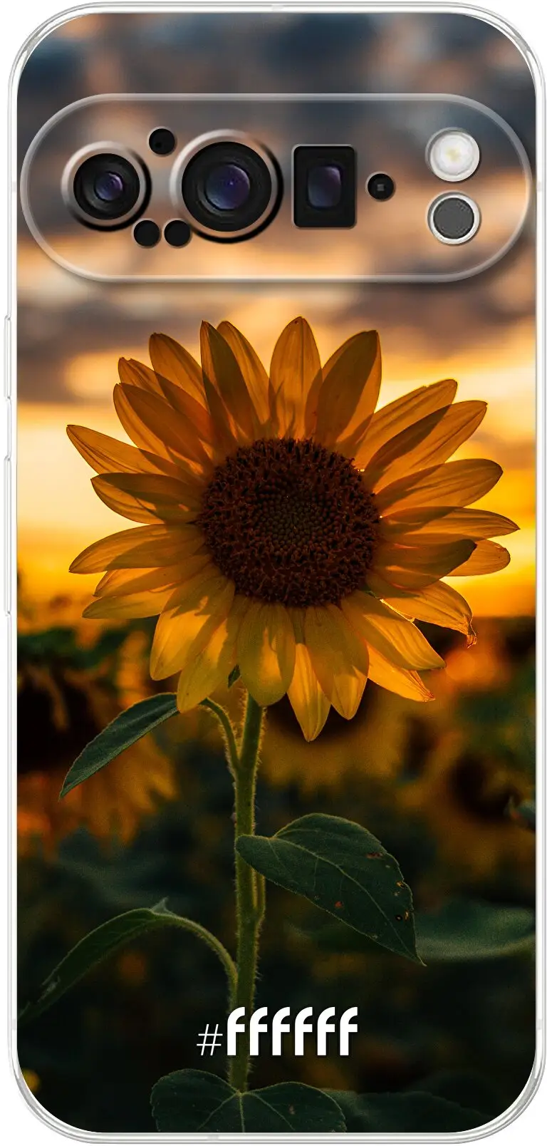 Sunset Sunflower Pixel 9 Pro