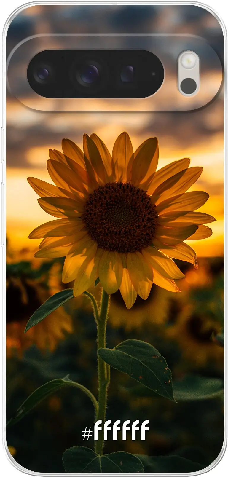 Sunset Sunflower Pixel 9 Pro XL