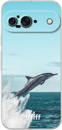 Dolphin Pixel 9