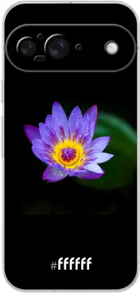 Purple Flower in the Dark Pixel 9