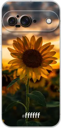 Sunset Sunflower Pixel 9