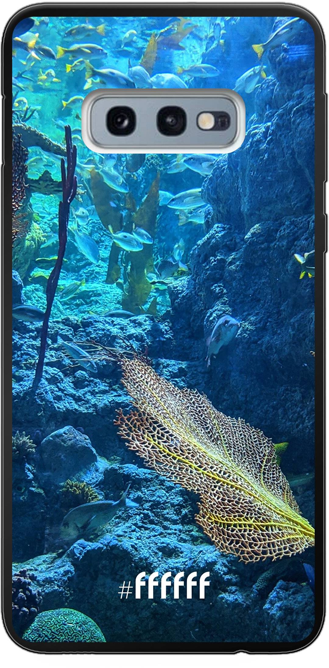 Coral Reef Galaxy S10e