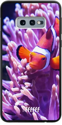 Nemo Galaxy S10e