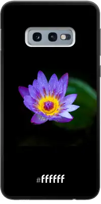 Purple Flower in the Dark Galaxy S10e