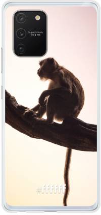 Macaque Galaxy S10 Lite