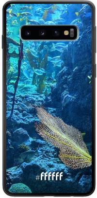 Coral Reef Galaxy S10