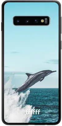 Dolphin Galaxy S10