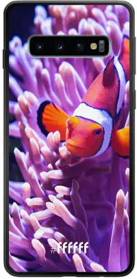 Nemo Galaxy S10