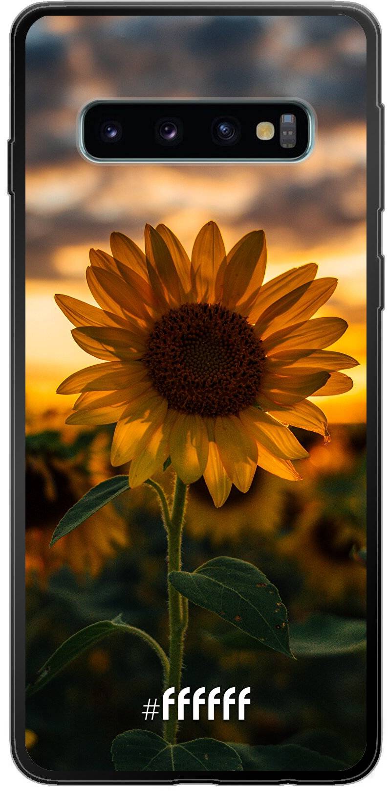 Sunset Sunflower Galaxy S10