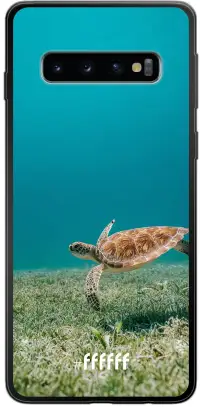 Turtle Galaxy S10