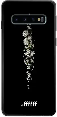 White flowers in the dark Galaxy S10