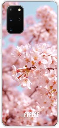 Cherry Blossom Galaxy S20+