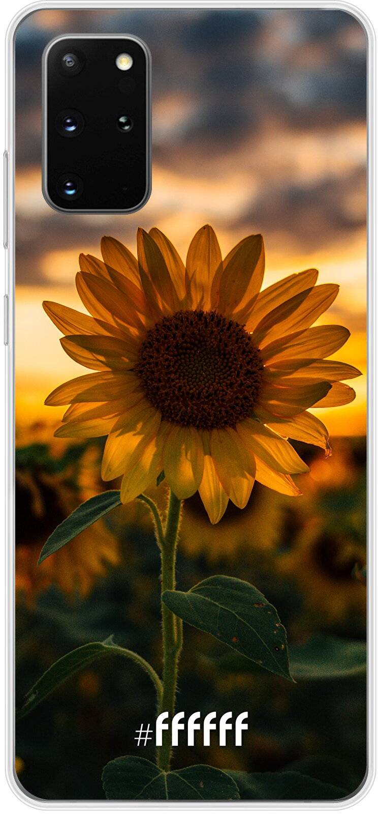 Sunset Sunflower Galaxy S20+
