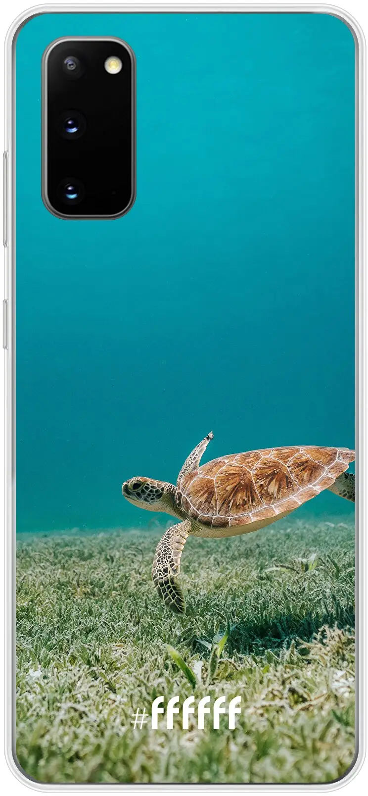 Turtle Galaxy S20