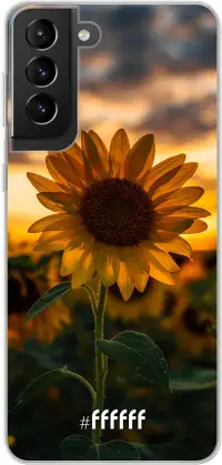 Sunset Sunflower Galaxy S21