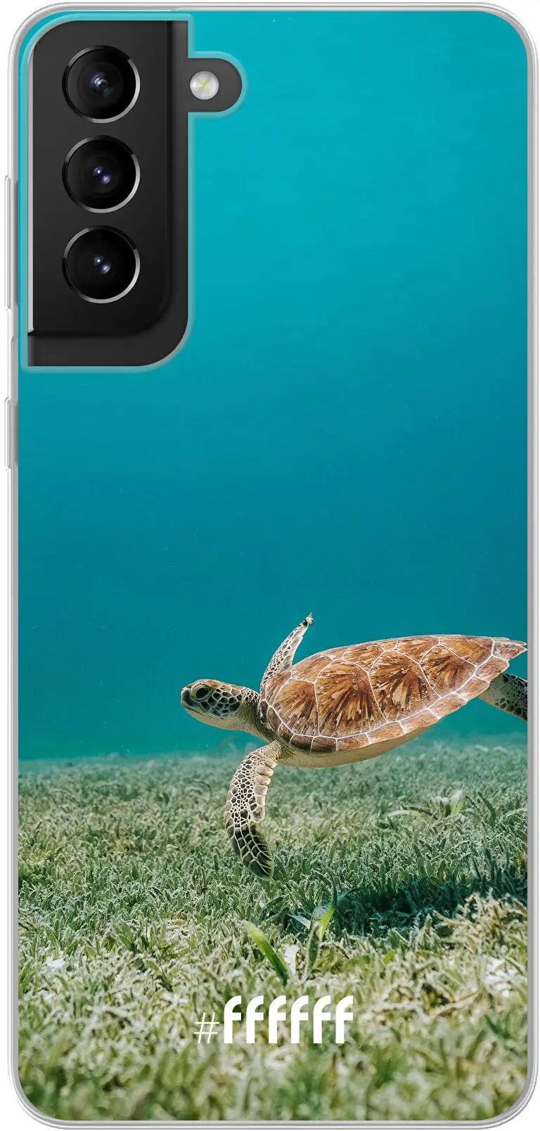 Turtle Galaxy S21