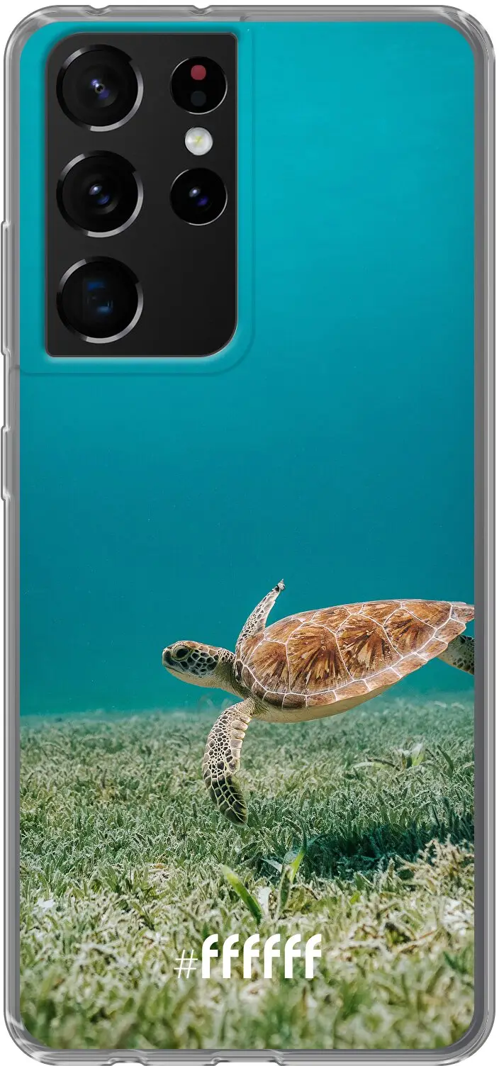 Turtle Galaxy S21 Ultra