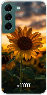Sunset Sunflower Galaxy S22