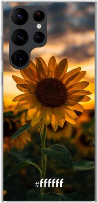 Sunset Sunflower Galaxy S22 Ultra