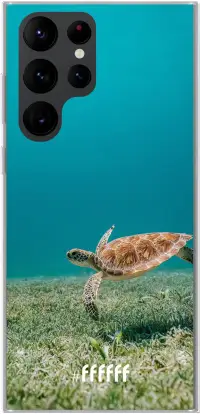 Turtle Galaxy S22 Ultra