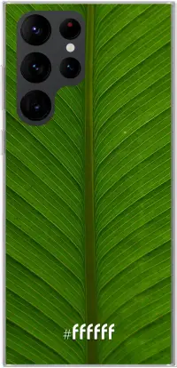 Unseen Green Galaxy S22 Ultra