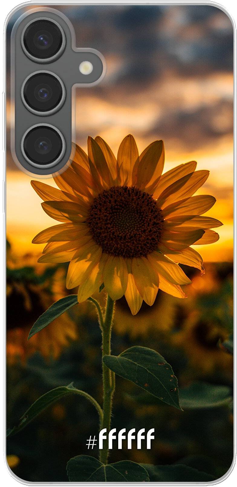 Sunset Sunflower Galaxy S24 Plus