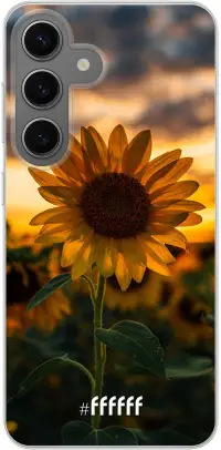 Sunset Sunflower Galaxy S24