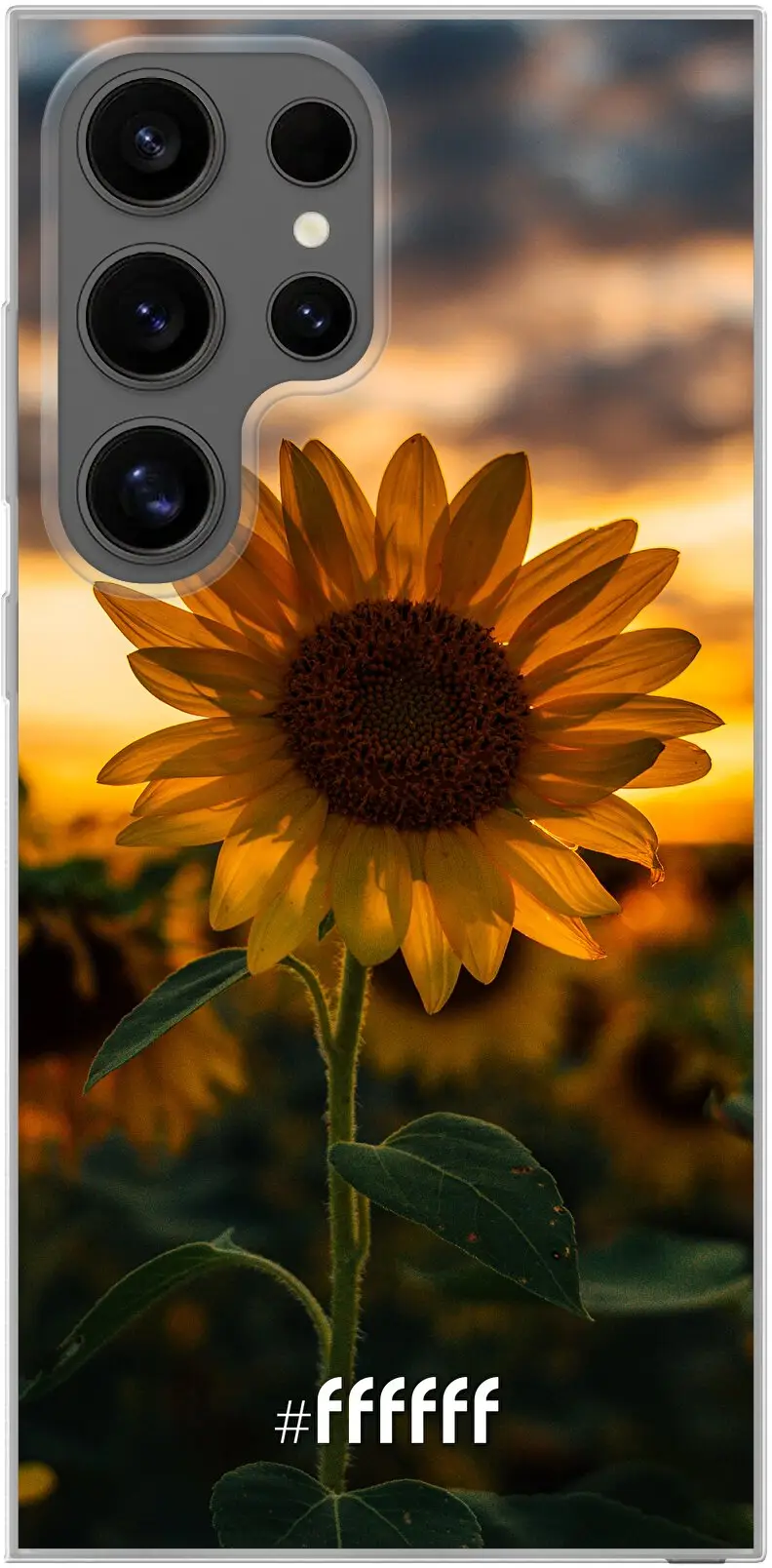 Sunset Sunflower Galaxy S24 Ultra