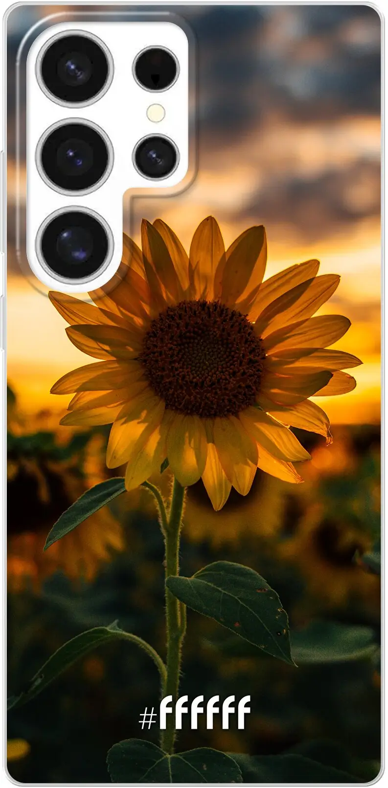 Sunset Sunflower Galaxy S25 Ultra