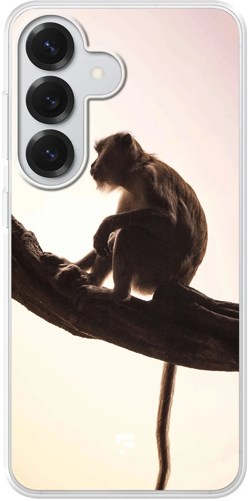 Macaque Galaxy S26
