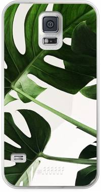 Tropical Plants Galaxy S5