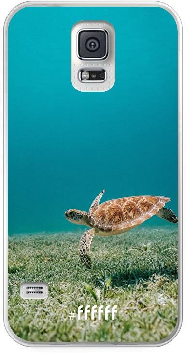 Turtle Galaxy S5